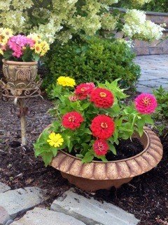 Potty Mouth Bottomless Flower Pot